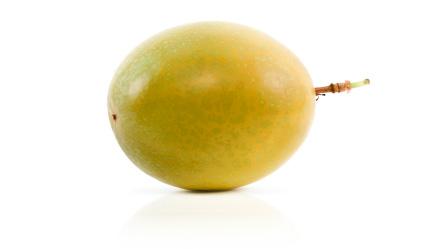 MARULA - Georgette Klinger