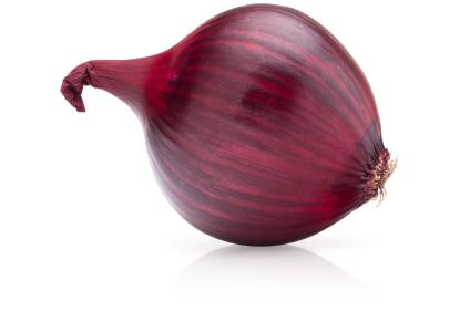 ONION BULB - Georgette Klinger