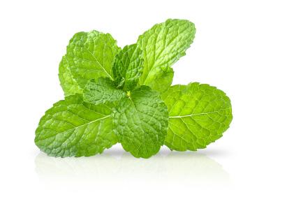 PEPPERMINT - Georgette Klinger