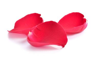 What Can Rose Do For Your Skin? | Ingredients Skincare Benefits