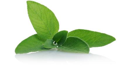 SAGE - Georgette Klinger